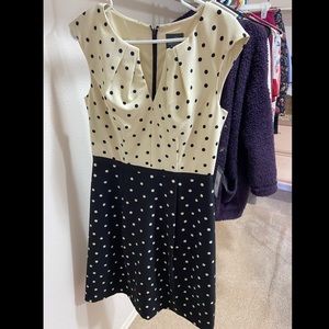 Adrianna Papell Black White Polka Dot Dress - NWT